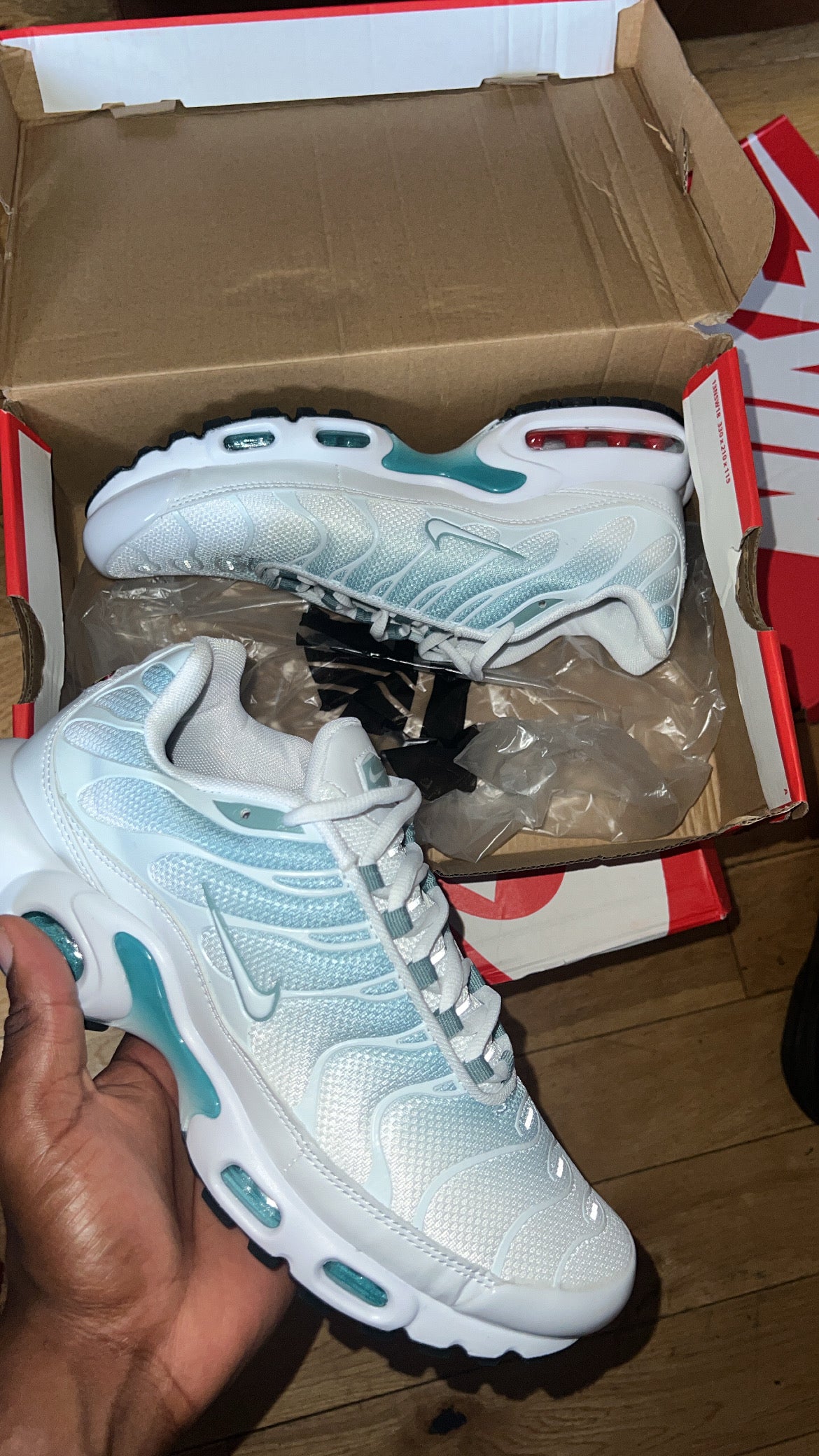 TN’s