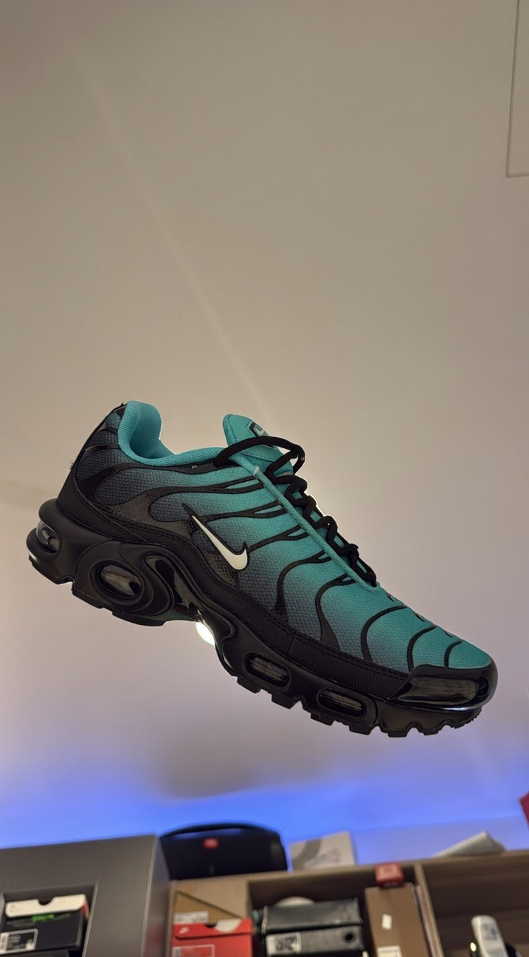 TN’s
