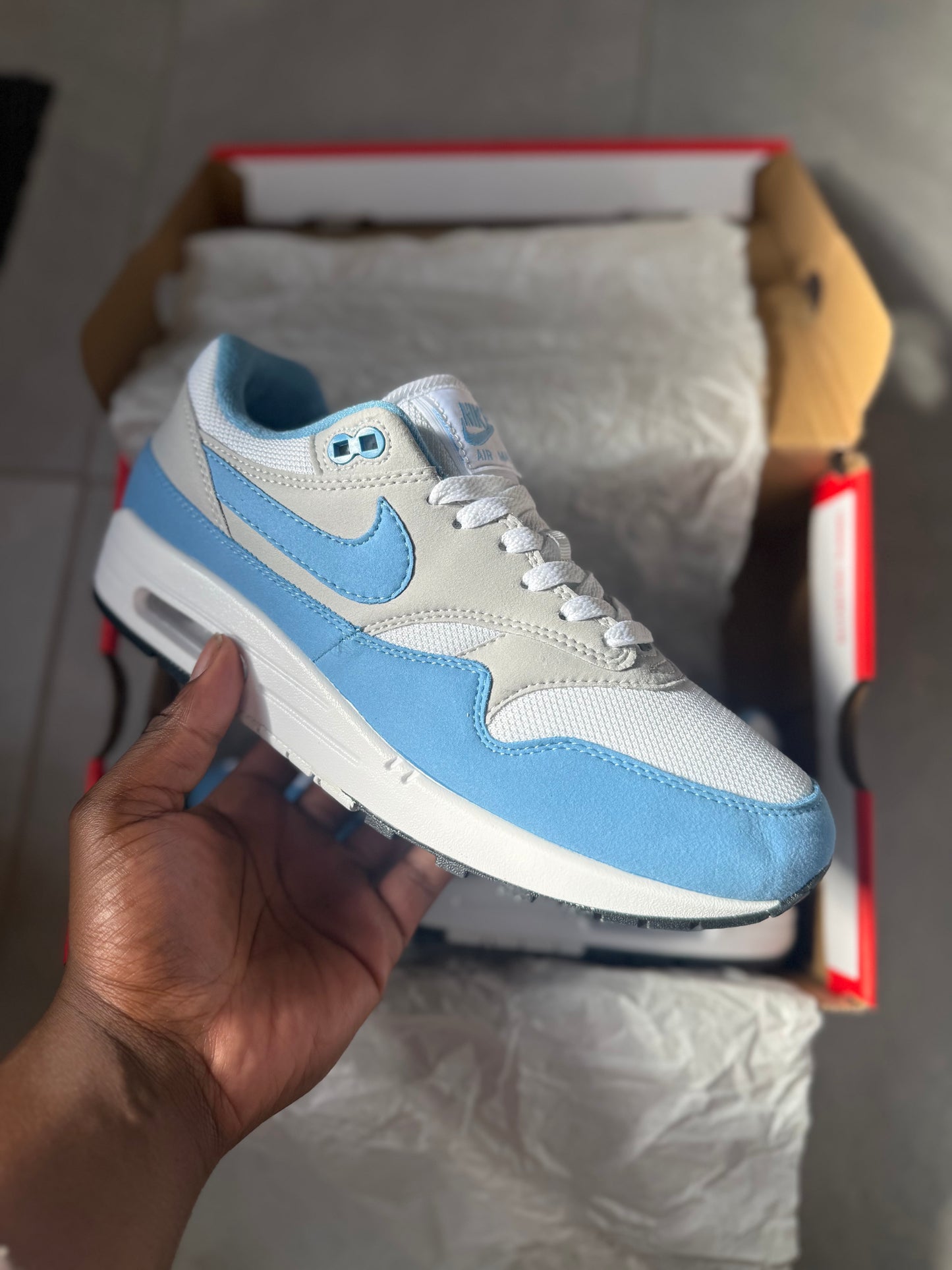 AM 1's