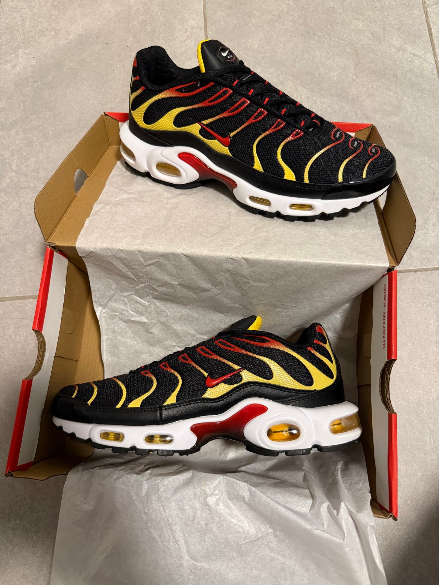 TN’s