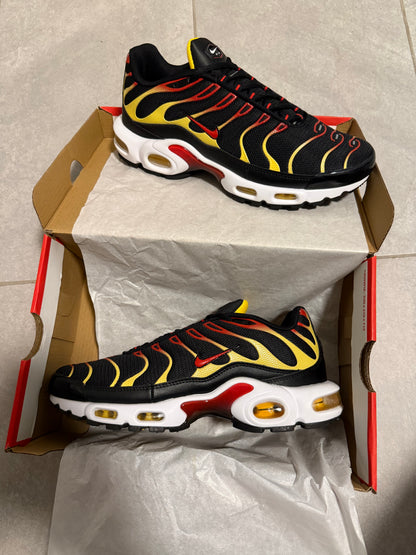 TN’s