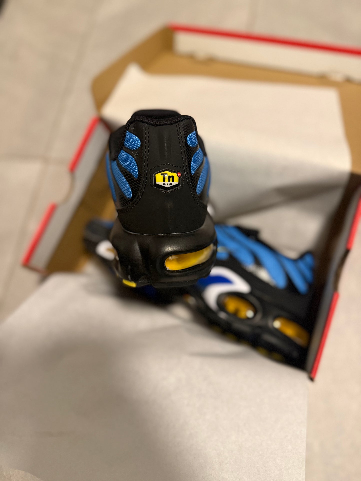 TN’s