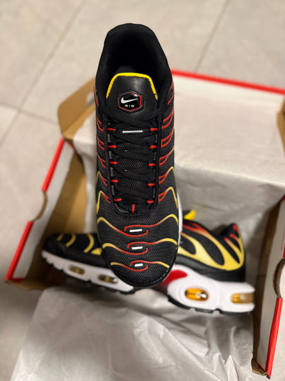 TN’s