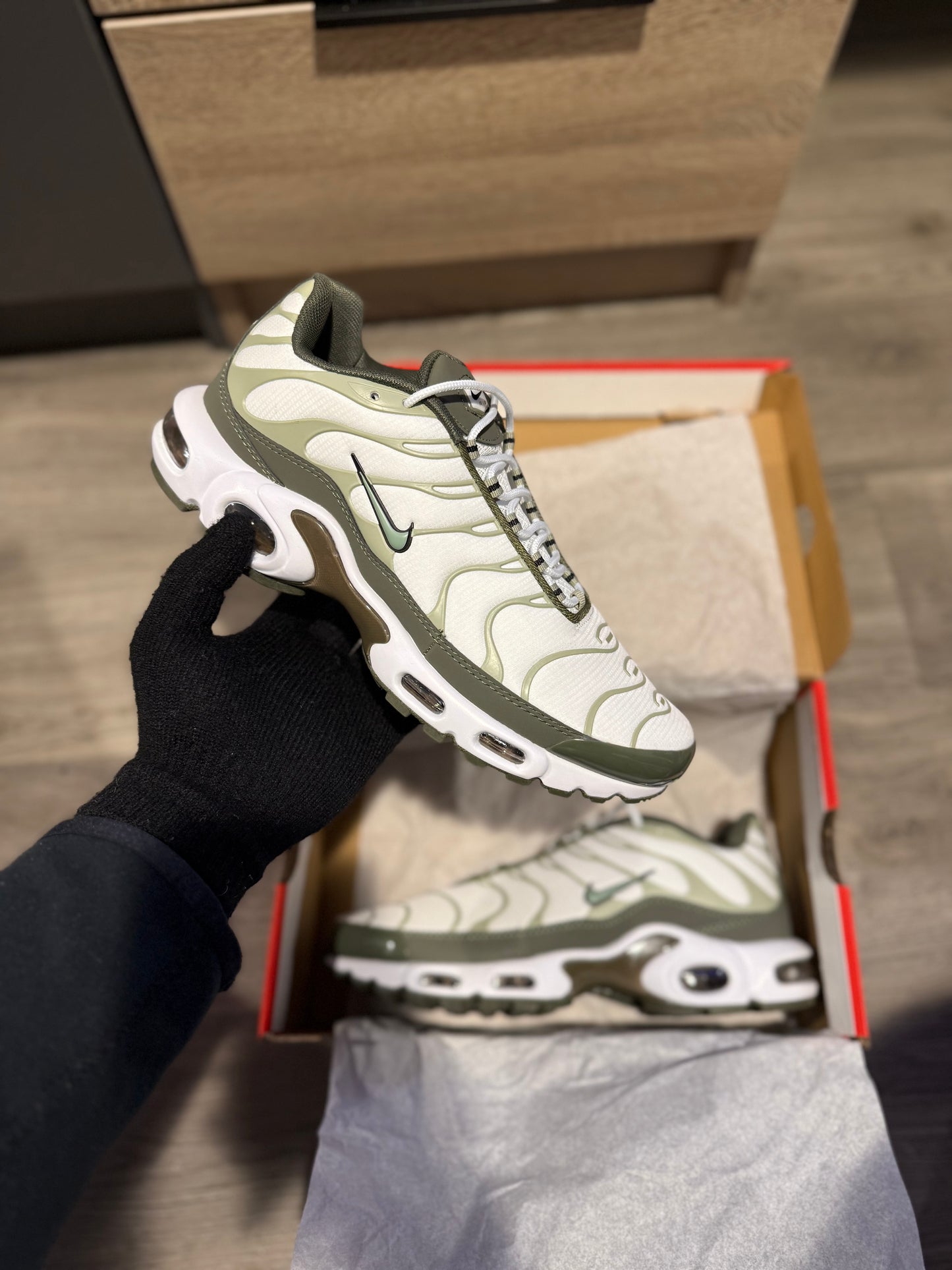 TN’s