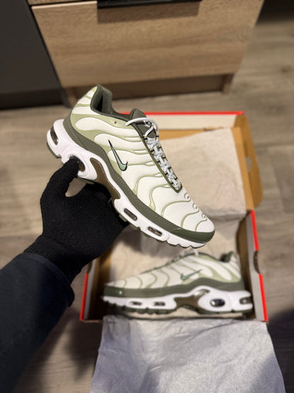 TN’s