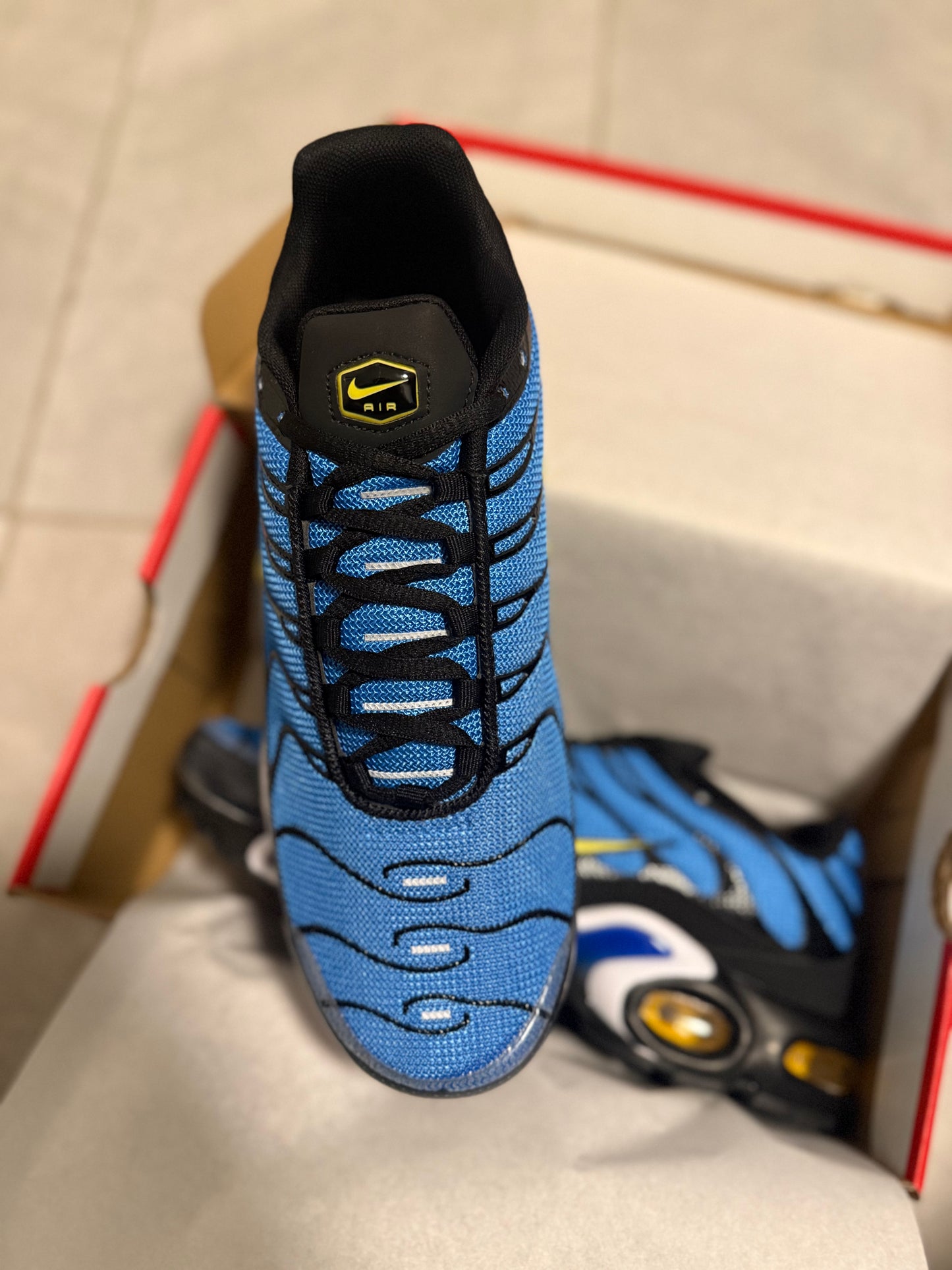 TN’s