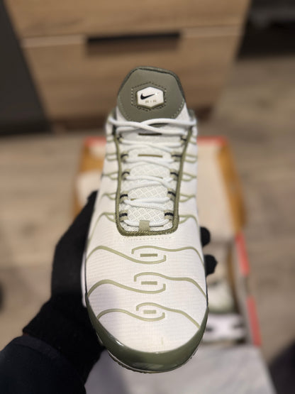 TN’s