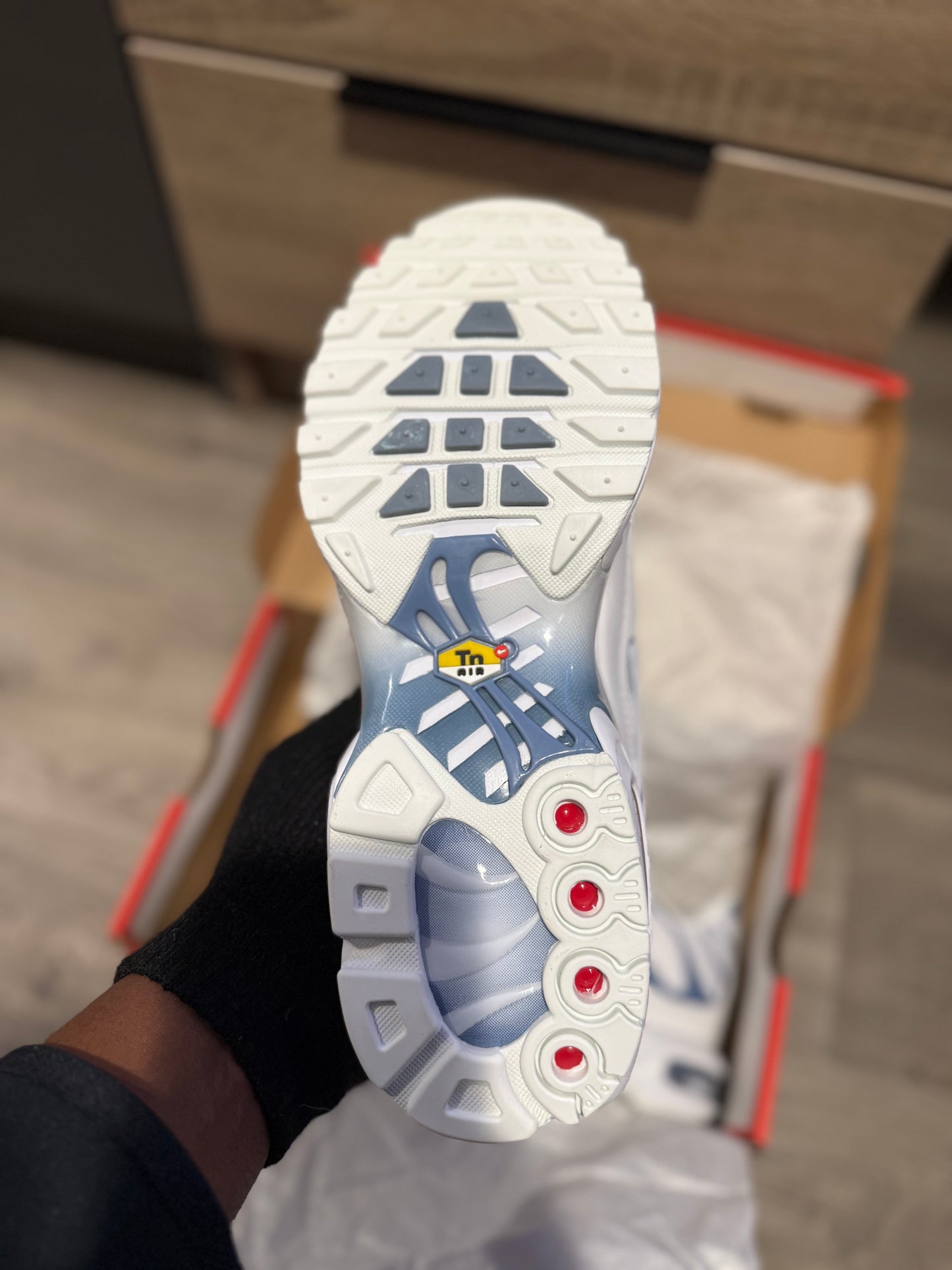 TN’s