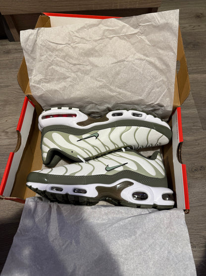 TN’s