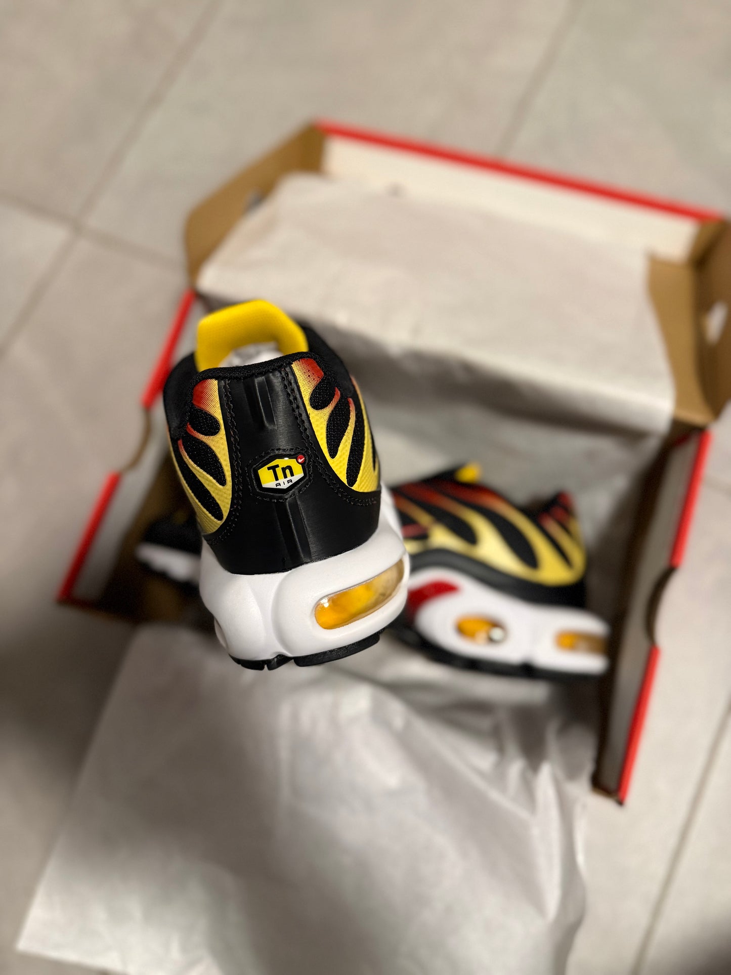 TN’s
