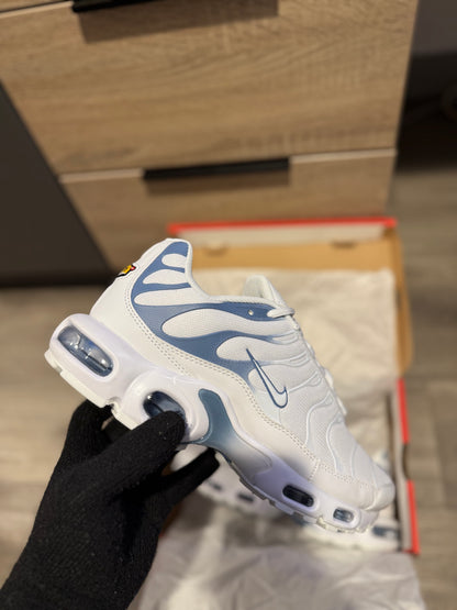 TN’s