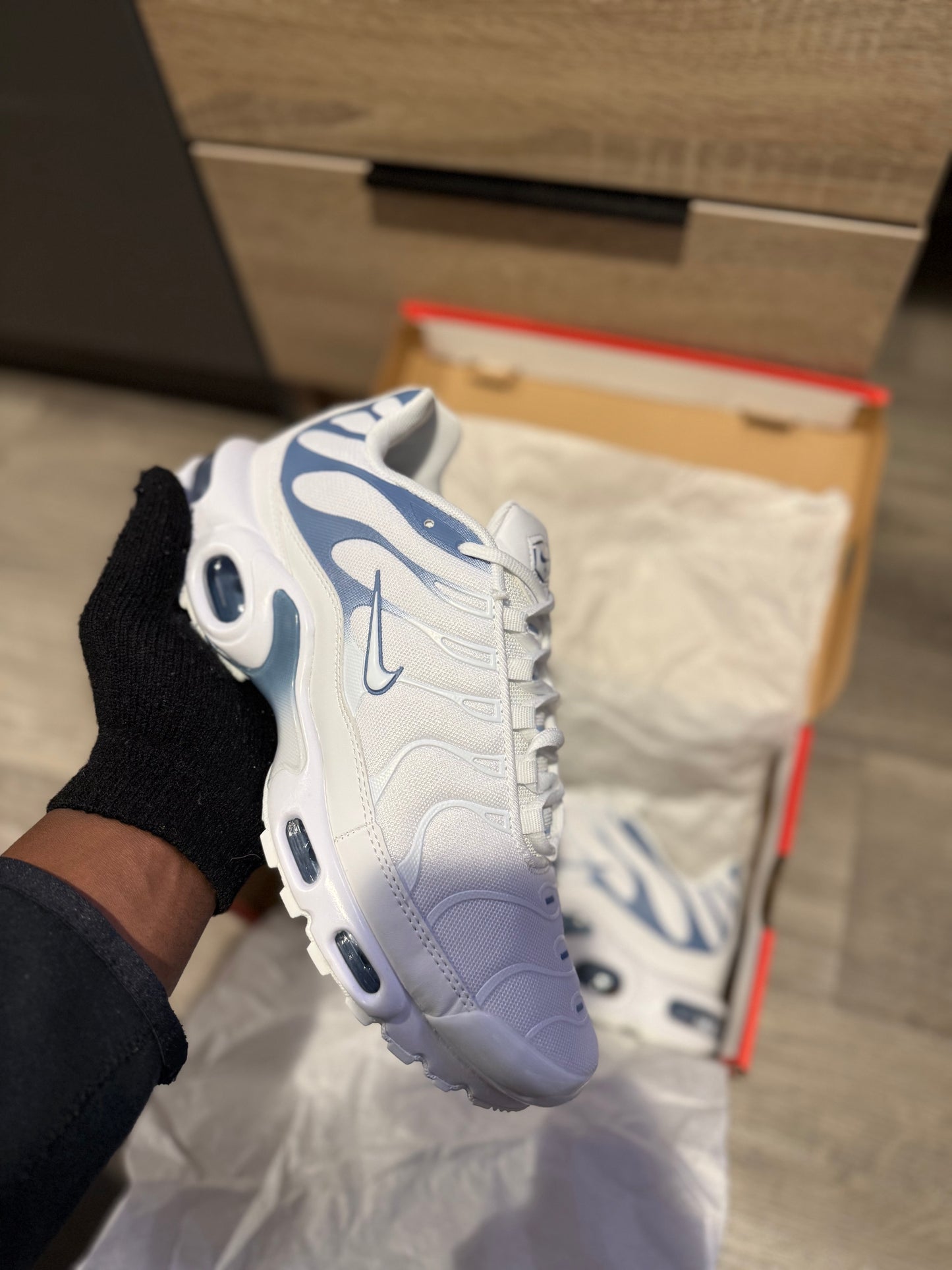 TN’s