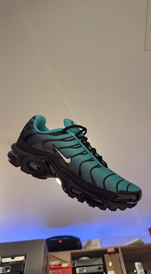TN’s